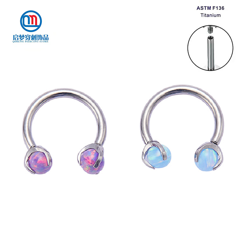 ASTM F136 Titanium Implant Gra - Body Jewelry Implant Grade review and price