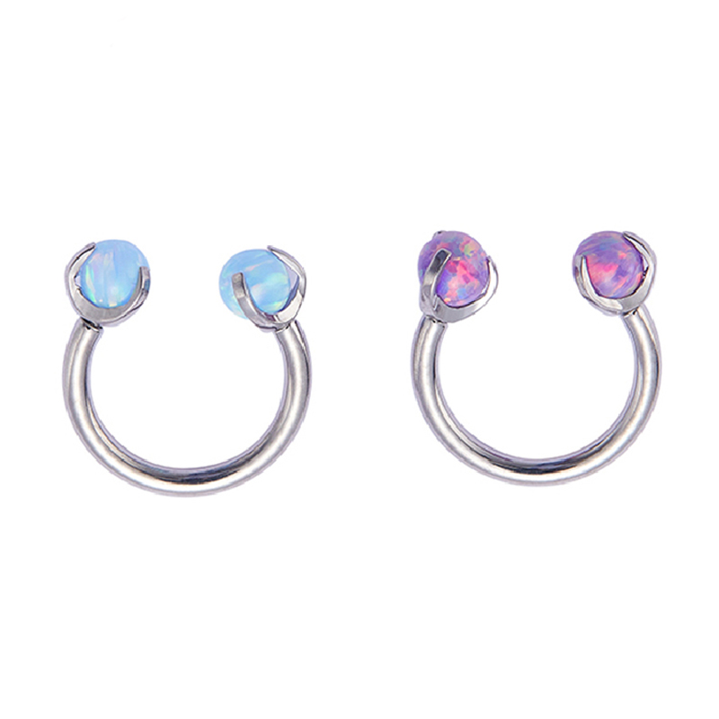 ASTM F136 Titanium Implant Gra - Body Jewelry Implant Grade review and price